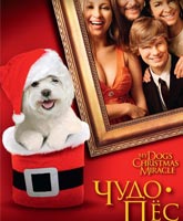 Смотреть Онлайн Чудо пес / My Dog's Christmas Miracle [2011]